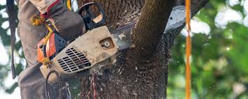 Best Lawn Grading and Leveling  in Woodcrest, CA