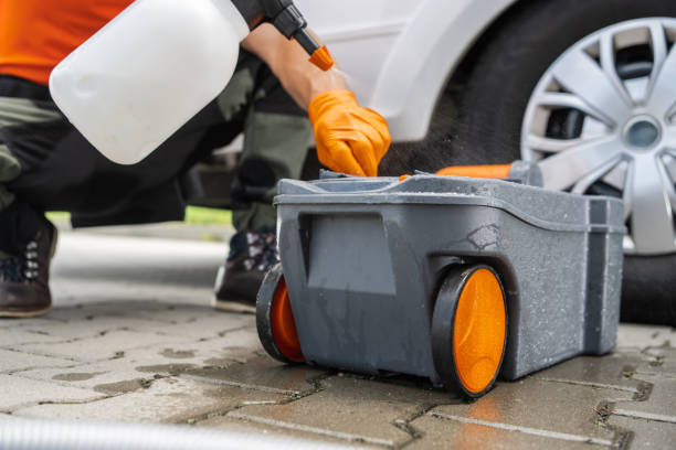 Best Lawn Renovation and Restoration  in Woodcrest, CA
